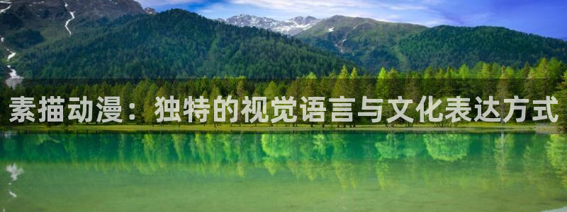 age动漫官网入口老版本：素描动漫：独特的视觉语言与文化表达方式