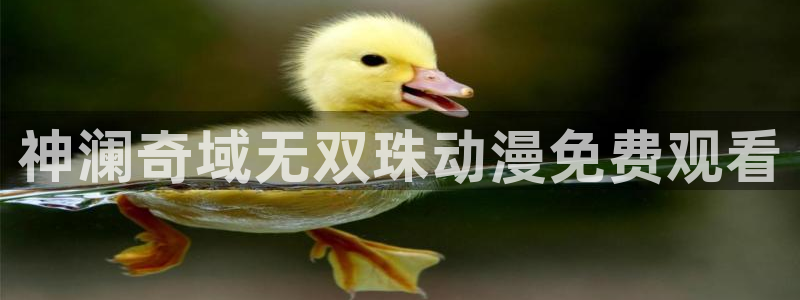 age动漫下载入口：神澜奇域无双珠动漫免费观看