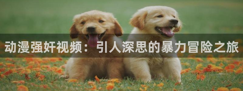 age动漫下载动漫全免费：动漫强奸视频：引人深思的暴力冒险之旅